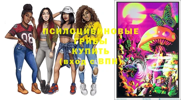 PSILOCYBIN Богородск