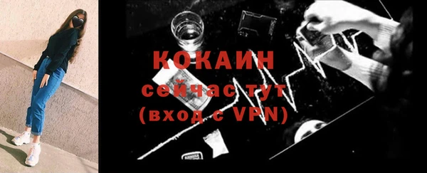 первитин Богородицк