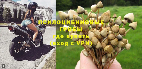 PSILOCYBIN Богородск