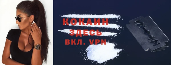 PSILOCYBIN Богородск