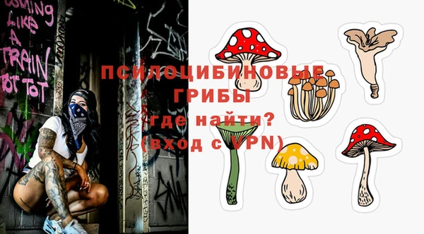 первитин Богородицк