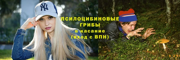 первитин Богородицк