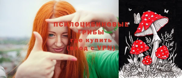 PSILOCYBIN Богородск
