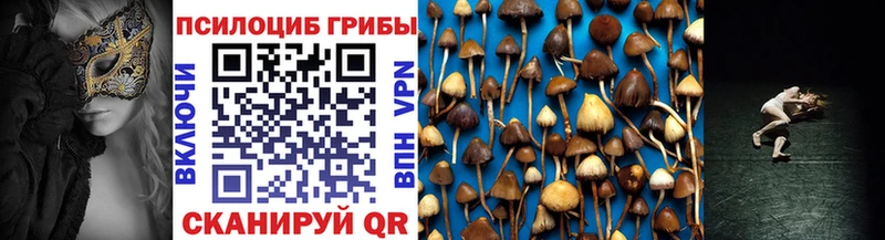 Псилоцибиновые грибы MAGIC MUSHROOMS  цена наркотик  Реж 